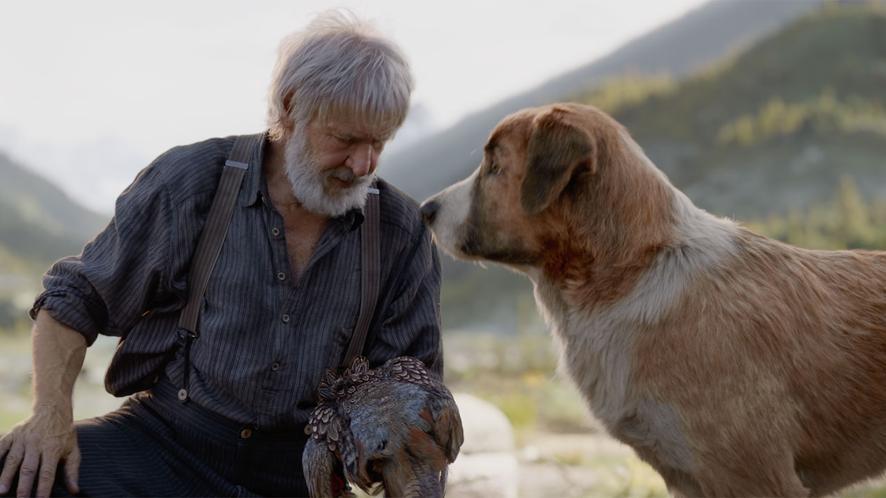 The Call Of The Wild Dog Meet Buck The Big Hearted Pup From New Film Abc7 San Francisco