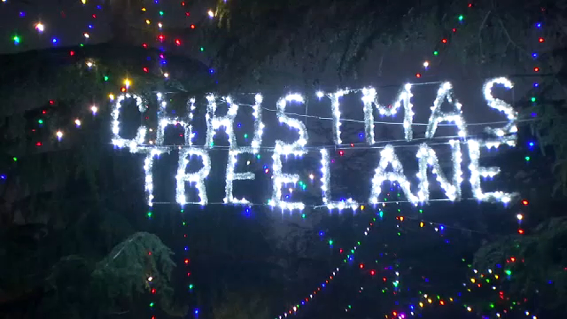 Fresno's Christmas Tree Lane brings holiday cheer for 100th year - ABC30 Fresno