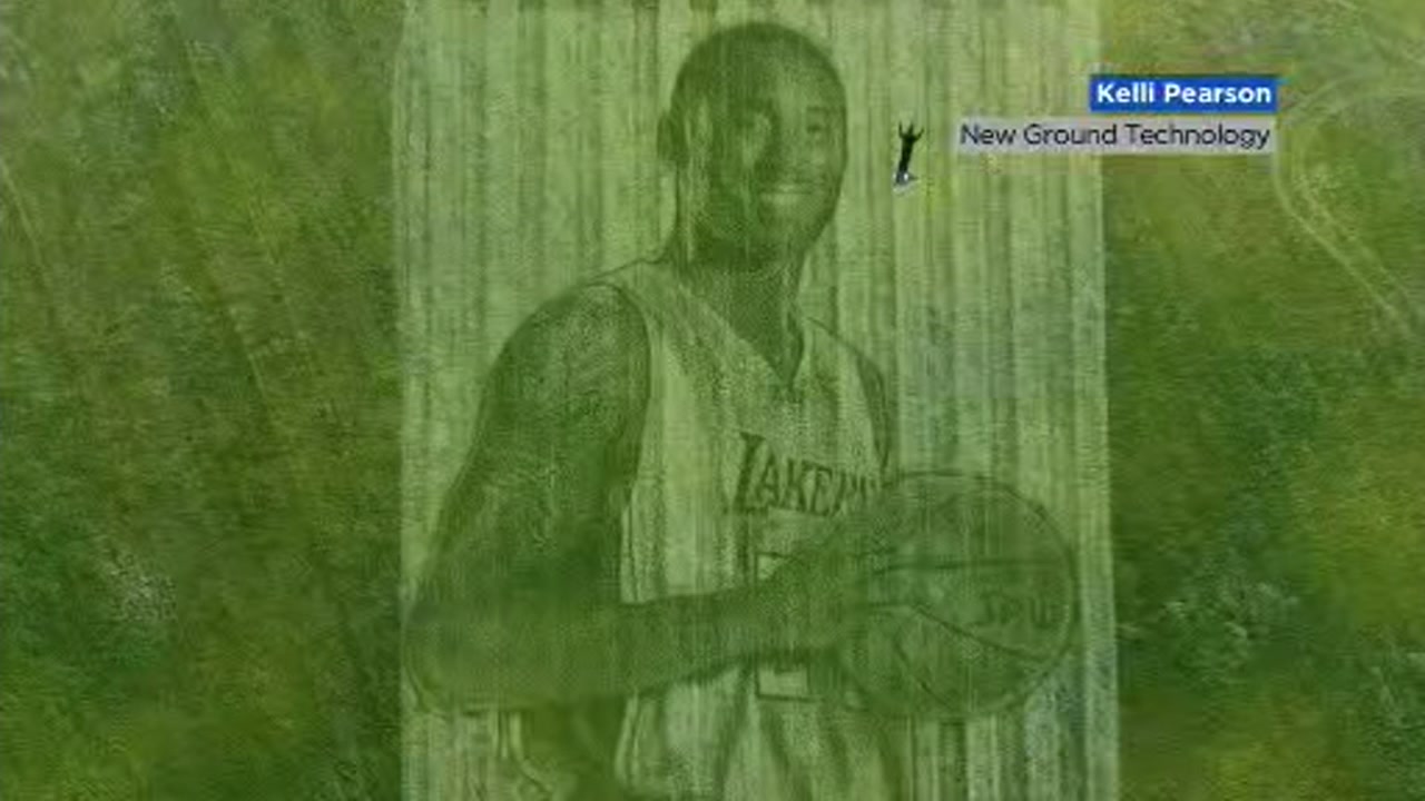 kobe bryant green
