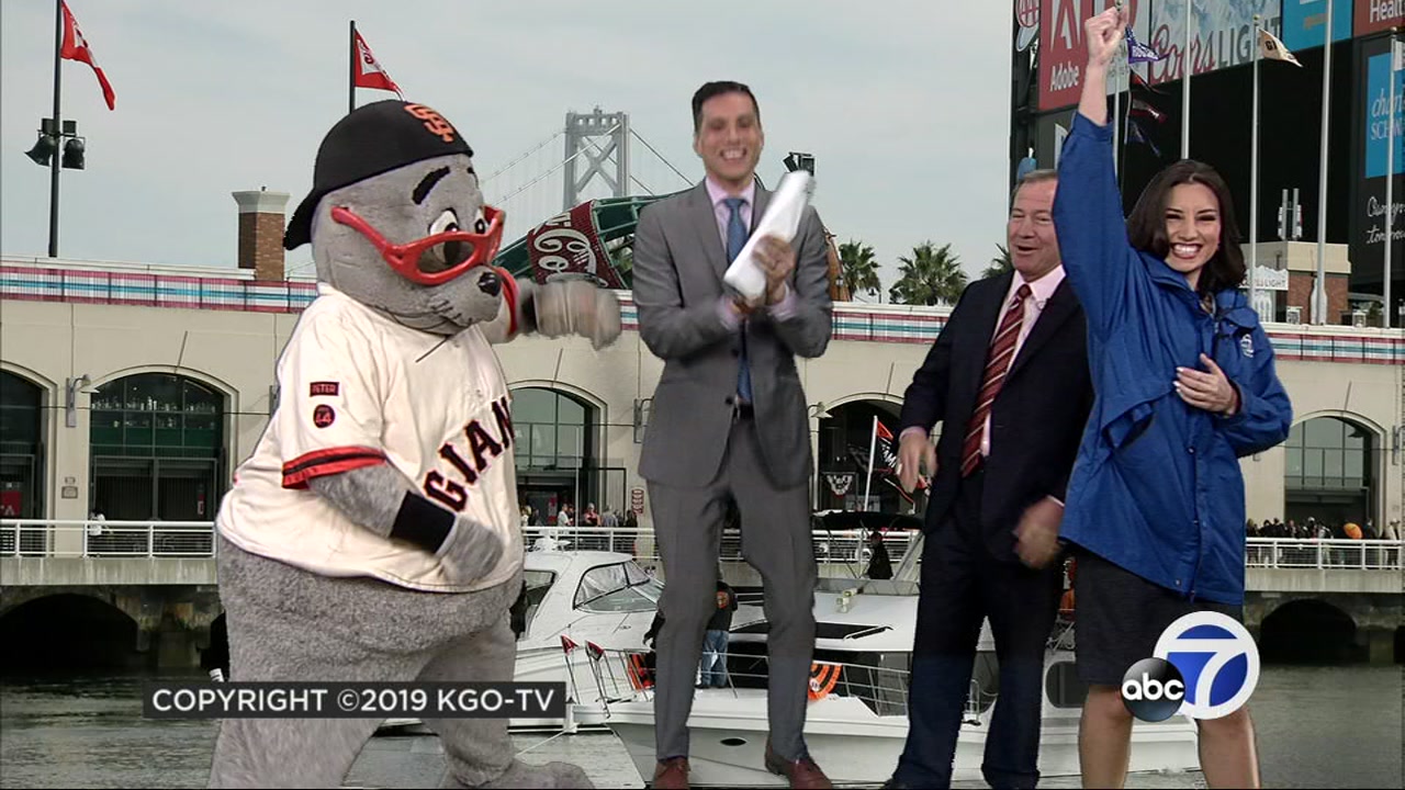 I Know Sports: San Francisco Giants mascot Lou Seal puts Reggie Aqui in his  place - ABC7 San Francisco