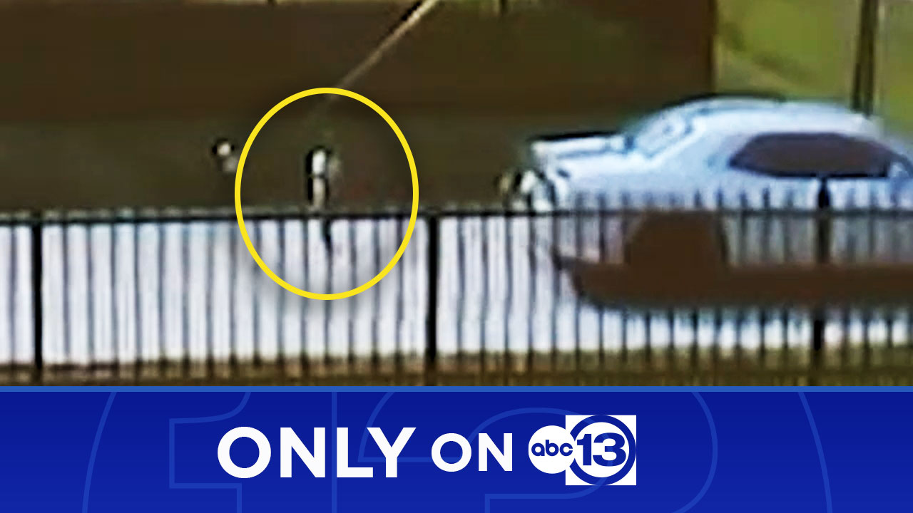 Surveillance video obtained by ABC13 shows 3-year-old girl being dumped out  of stolen car in southwest Houston - ABC13 Houston