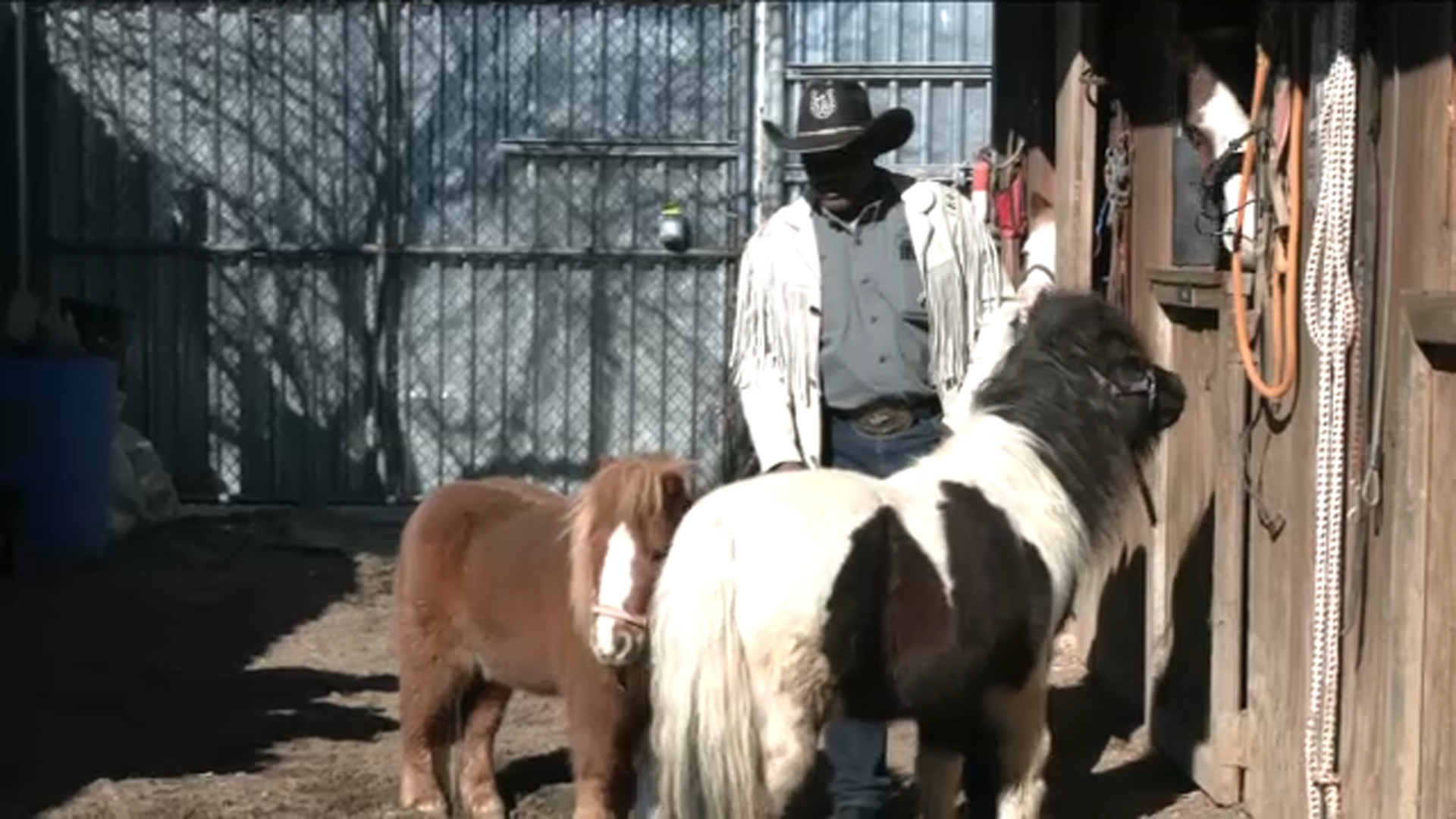 NYC Federation of Black Cowboys looking for funds to keep