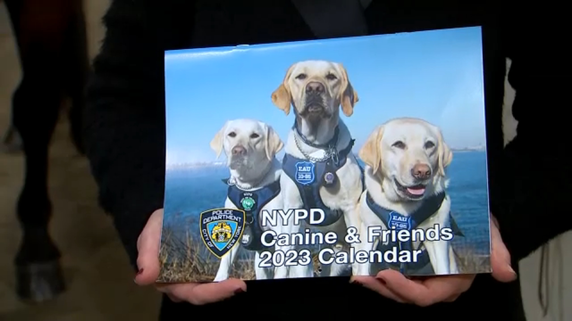 NYPD Transit Bureau CANINE パッチセット NEW YORK CITY POLICE