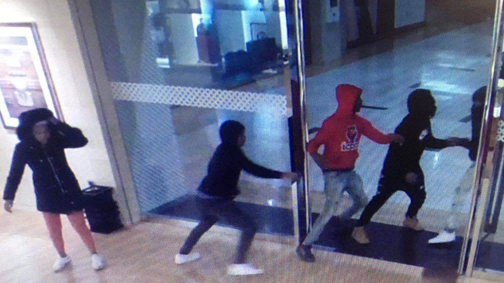 dokumentarfilm mave legeplads Group wanted in Louis Vuitton purse theft at Northbrook Court - ABC7 Chicago