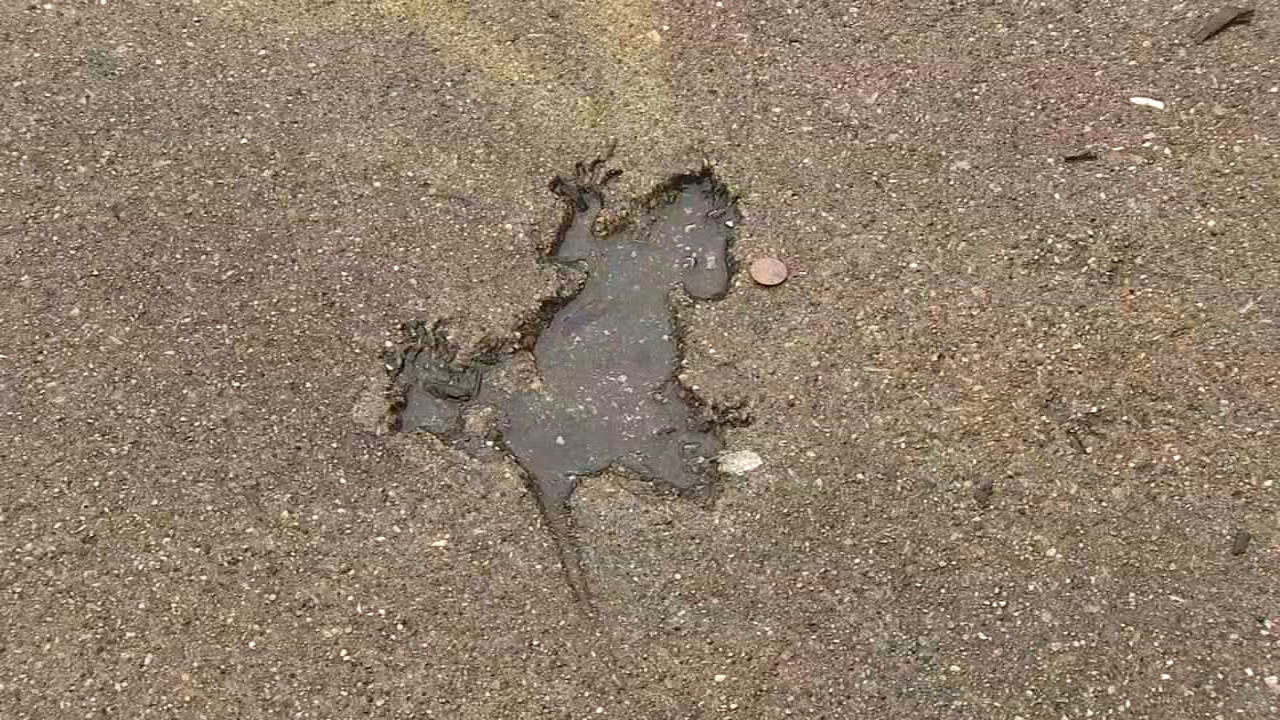 Chicago Rat Hole': Rat-shaped imprint on Roscoe Village sidewalk