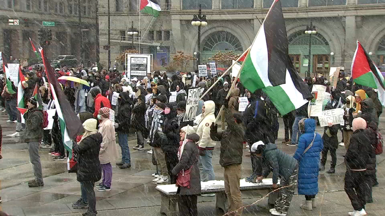 https://static.abcotvs.com/wls/images/cms/automation/vod/123123-wls-pro-palestinian-protest-5pvo-vid.jpg