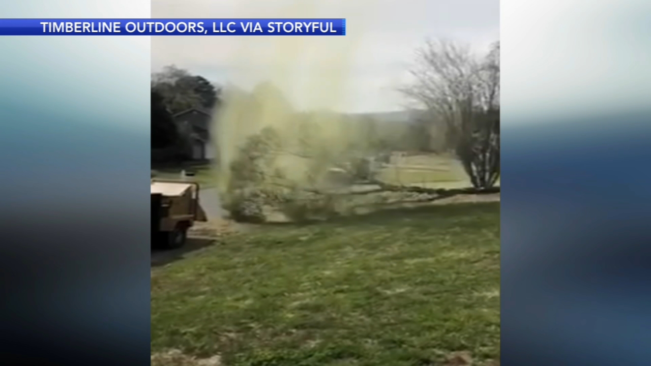 Falling Tree Leads To Pollen Bomb In Tennessee Abc11 Raleigh Durham