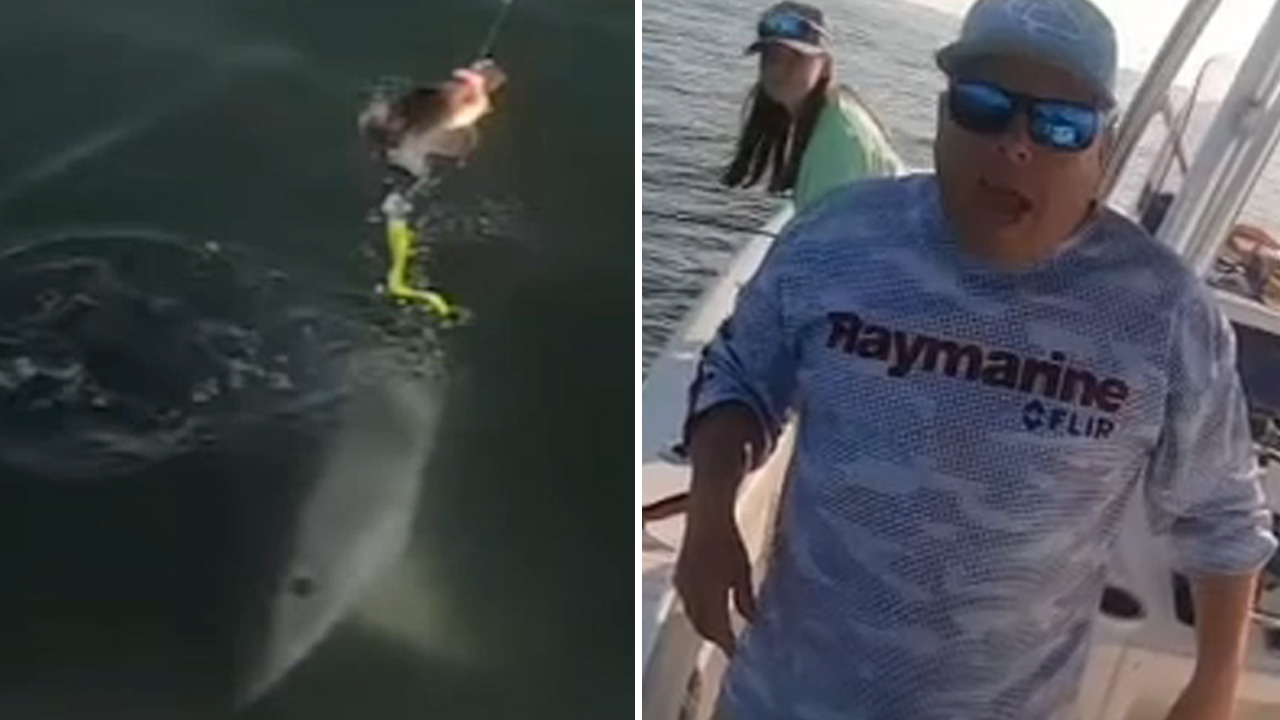 New Jersey father-daughter duo encounter great white shark during fishing  trip off Point Pleasant Beach - 6abc Philadelphia