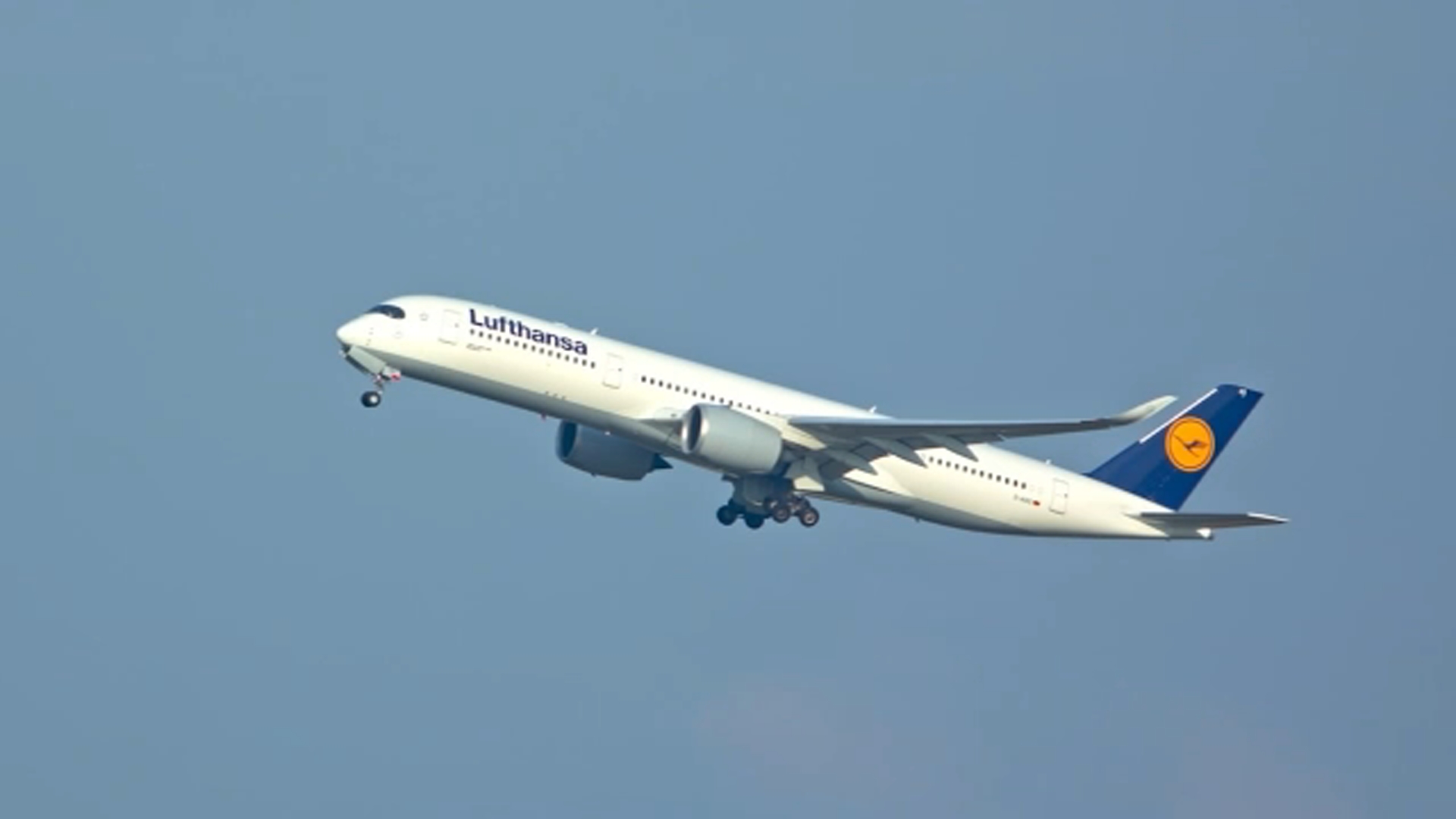 Raleigh international flights | International airline touching 