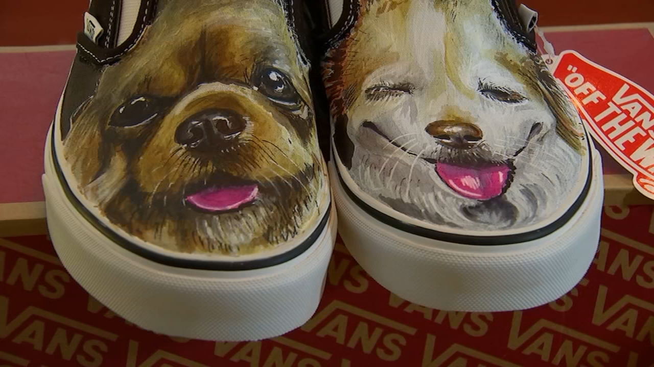 vans custom shoes france