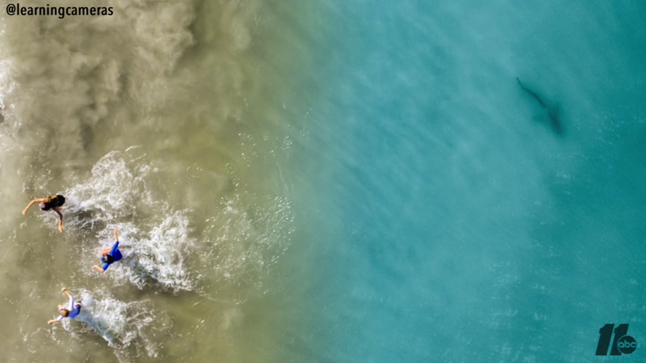 Drone Reveals Shark Swimming Near Photographer S Children At Florida Beach Abc11 Raleigh Durham